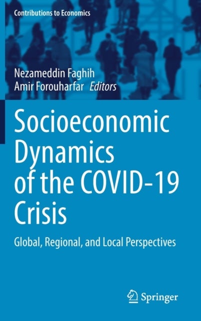 Socioeconomic Dynamics of the COVID-19 Crisis - Global, Regional, and Local Perspectives