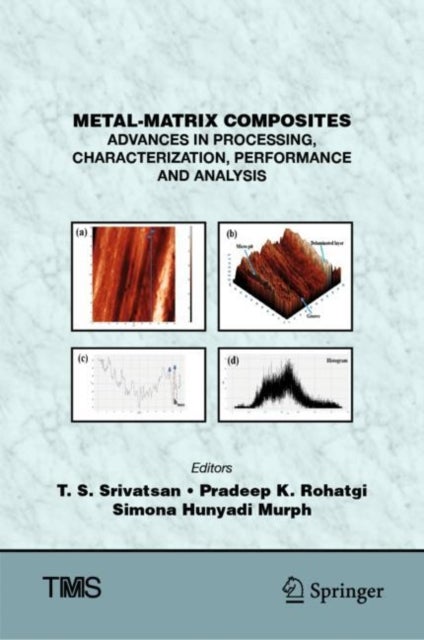 Metal-Matrix Composites - Advances in Processing, Characterization, Performance and Analysis