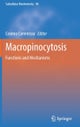 Macropinocytosis