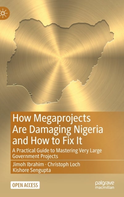 How Megaprojects Are Damaging Nigeria and How to Fix It - A Practical Guide to Mastering Very Large Government Projects
