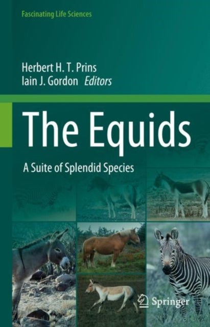 The Equids - A Suite of Splendid Species