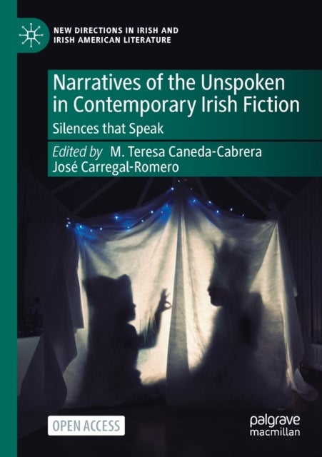 Narratives of the Unspoken in Contemporary Irish Fiction - Silences that Speak