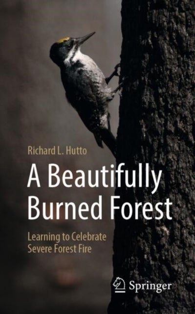 A Beautifully Burned Forest - Learning to Celebrate Severe Forest Fire