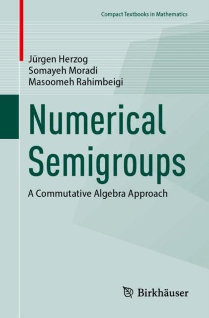 Numerical Semigroups - A Commutative Algebra Approach