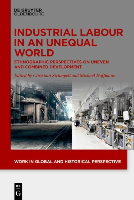 Industrial Labour in an Unequal World - Ethnographic Perspectives on Uneven and Combined Development