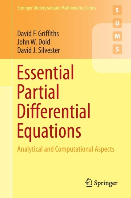 Essential Partial Differential Equations - Analytical and Computational Aspects