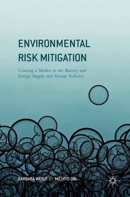 Environmental Risk Mitigation - Coaxing a Market in the Battery and Energy Supply and Storage Industry