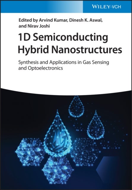 1D Semiconducting Hybrid Nanostructures - Synthesis and Applications in Gas Sensing and Optoelectronics