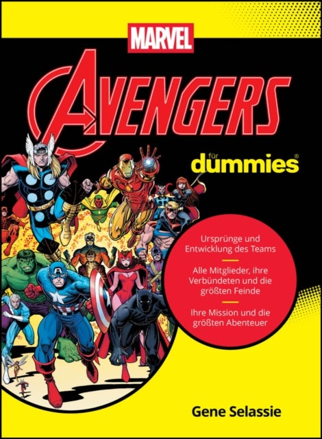 Avengers fur Dummies