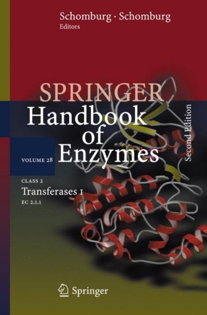 Class 2 Transferases I - EC 2.1.1