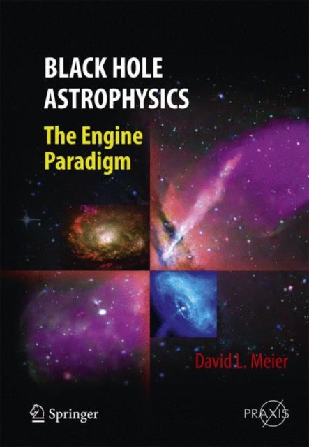 Black Hole Astrophysics - The Engine Paradigm
