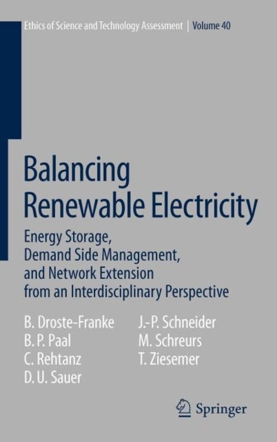 Balancing Renewable Electricity - Energy Storage, Demand Side Management, and Network Extension from an Interdisciplinary Perspective