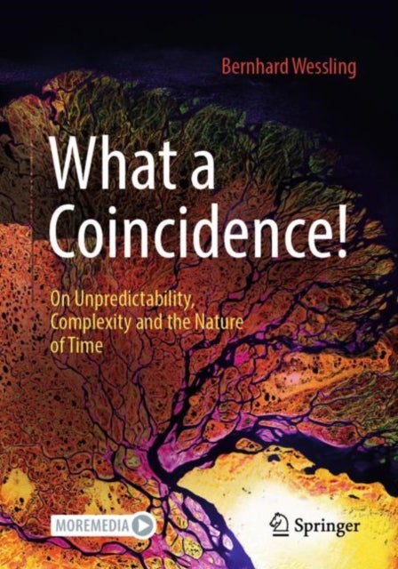 What a Coincidence! - On Unpredictability, Complexity and the Nature of Time