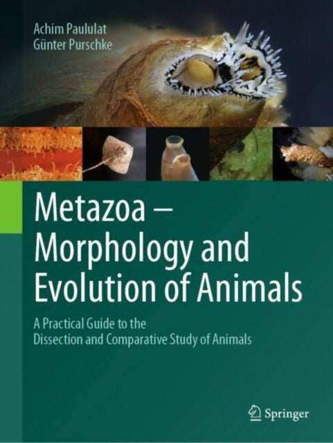 Metazoa – Morphology and Evolution of Animals - A Practical Guide to the Dissection and Comparative Study of Animals
