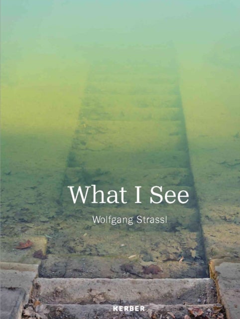 What I See - Wolfgang Strassl