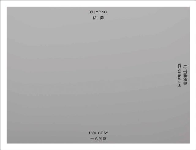 Xu Yong - 18% GRAY / MY FRIENDS