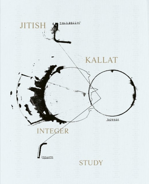 Jitish Kallat - Integer Study - Drawing from Life