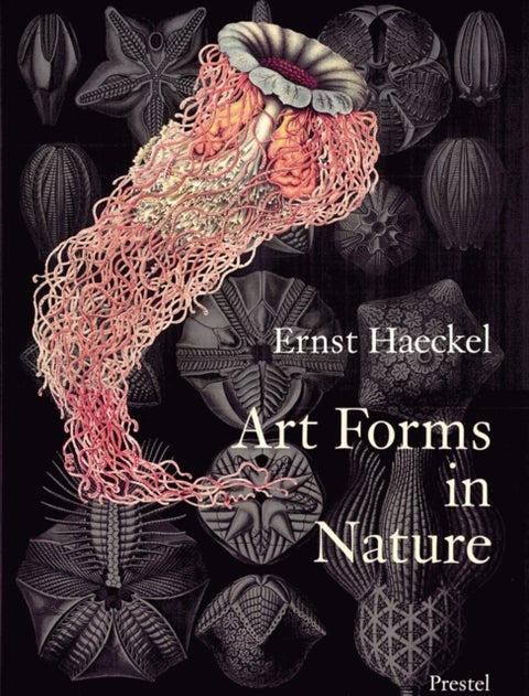 Art Forms in Nature - Prints of Ernst Haekel