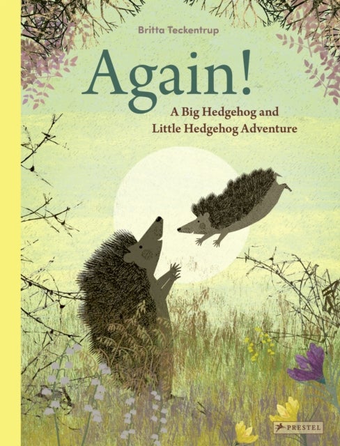 Again! - A Big Hedgehog and Little Hedgehog Adventure