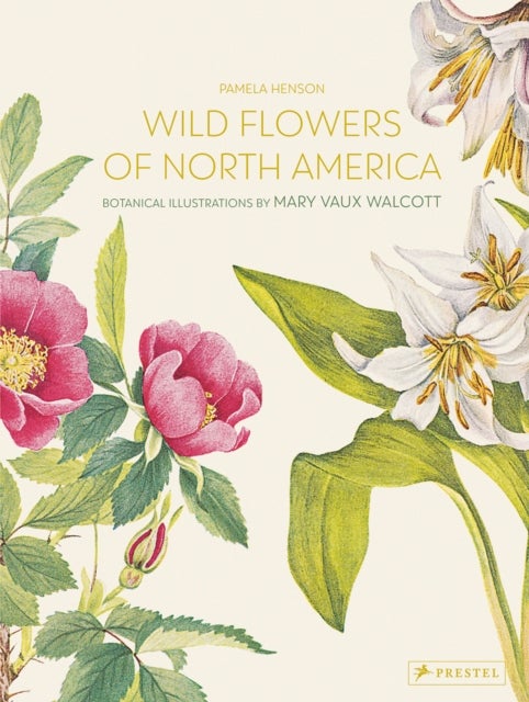Wild Flowers of North America - Botanical Illustrations by Mary Vaux Walcott