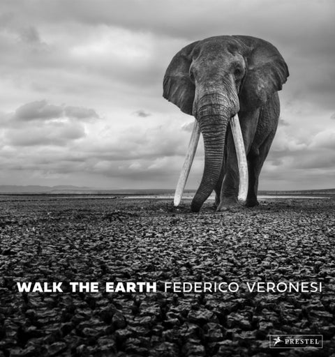 Walk the Earth - Photographs of Africa's Last Great Elephants