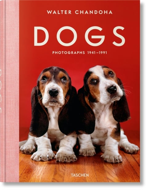 Walter Chandoha. Dogs. Photographs 1941¿1991 - Dogs. Photographs 1941–1991