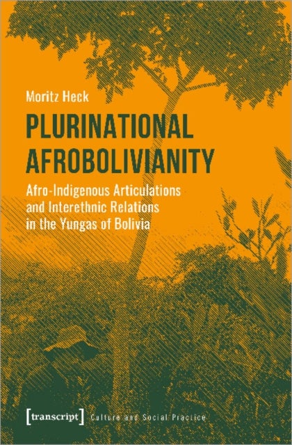 Plurinational Afrobolivianity ¿ Afro¿Indigenous Articulations and Interethnic Relations in the Yunga