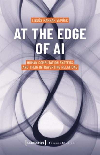 At the Edge of AI - Human Computation Systems and Their Intraverting Relations