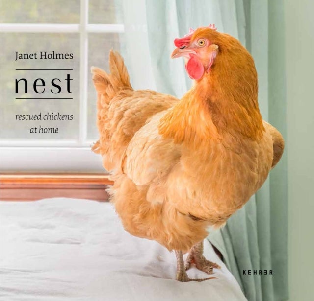 Nest - Rescued Chickens at Home