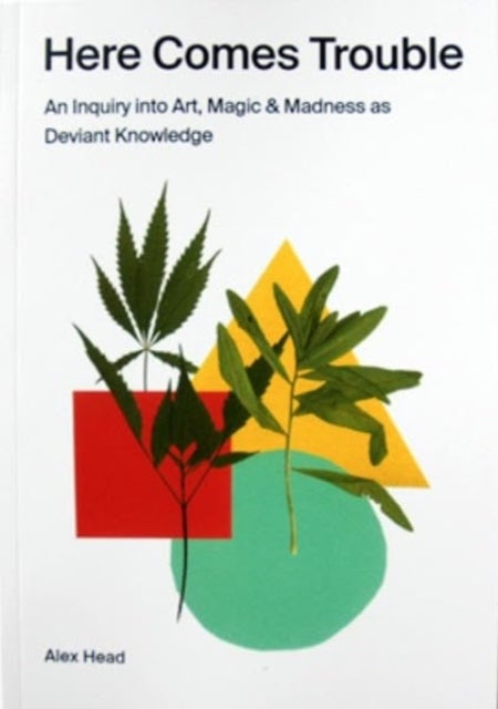 Here Comes Trouble - An Inquiry into Art, Magic & Madness as Deviant Knowledge