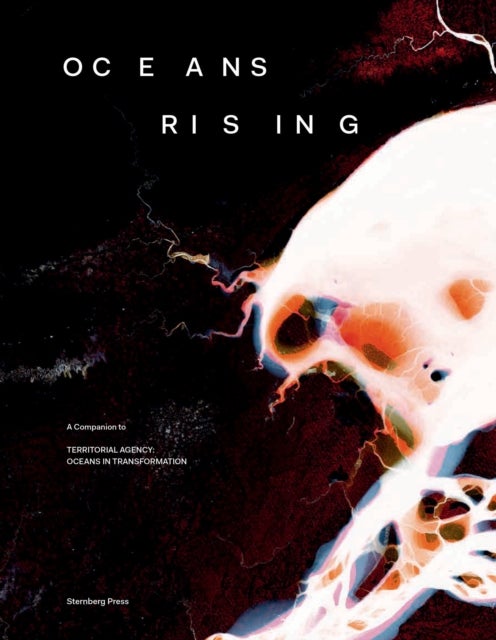 Oceans Rising - A Companion to Territorial Agency: Oceans in Transformation