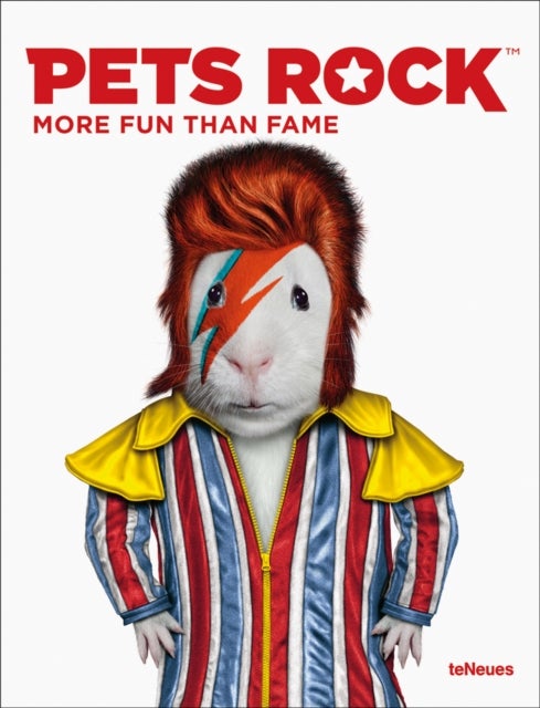 Pets Rock - More Fun than Fame