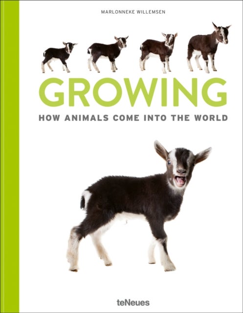 Growing - How animals come into our world