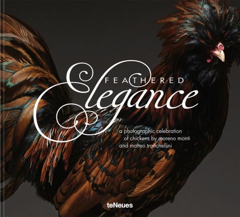 Feathered Elegance - A Photographic Celebration of Chickens