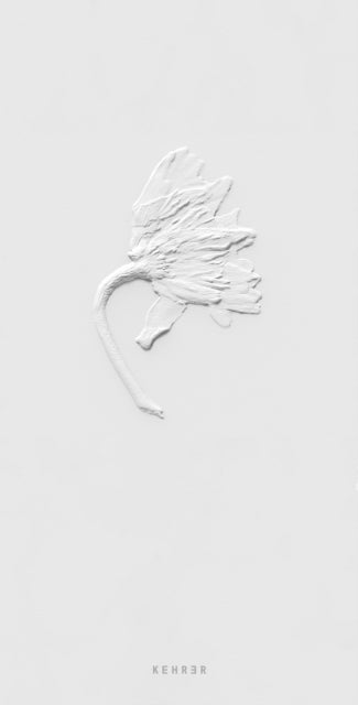 Ephemeral Field Journal - Climate and Love in Claude Monet's Garden