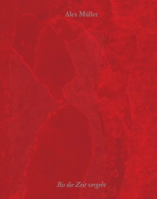 Alex Muller - Bis die Zeit vergeht