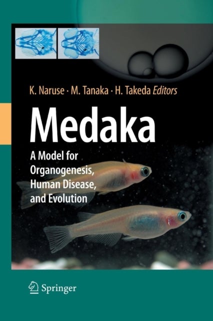 Medaka - A Model for Organogenesis, Human Disease, and Evolution