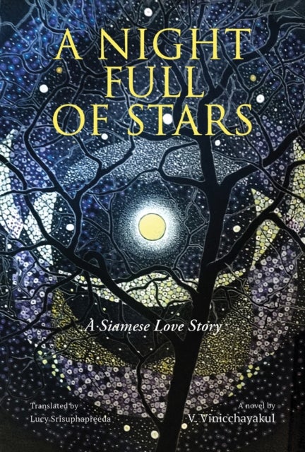 A Night Full of Stars