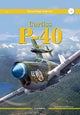 Curtiss P-40 Vol. I