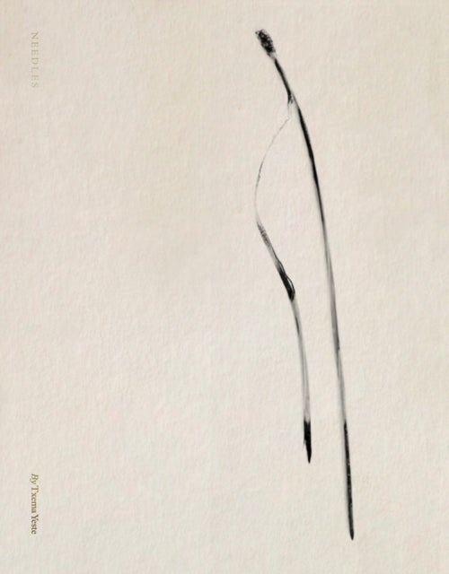 Txema Yeste: Needles