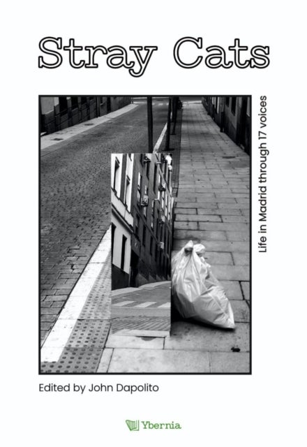 Stray Cats - Life in Madrid through 17 voices