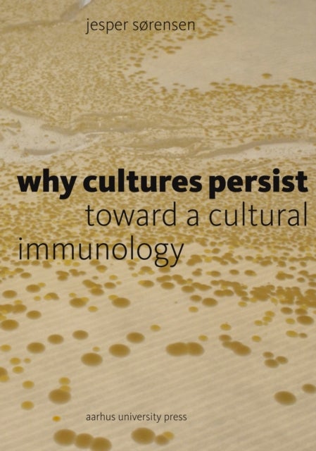 Why Cultures Persist - Towards a Cultural Immunology