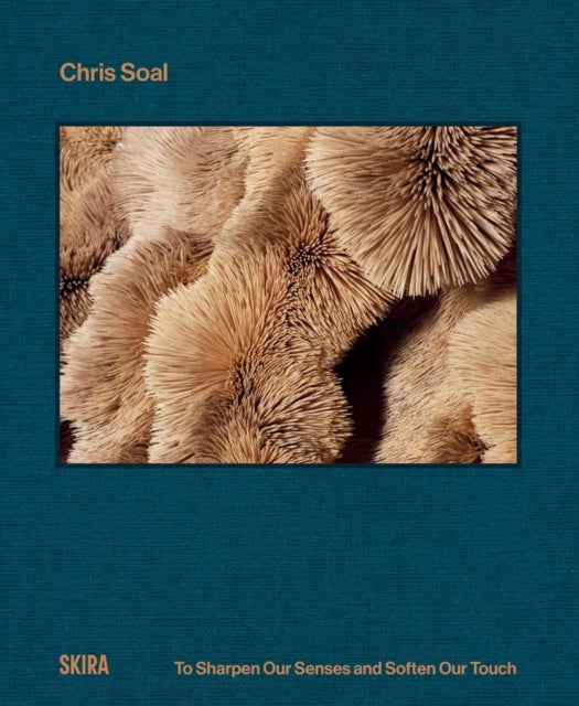 Chris Soal - To Sharpen our Senses and Soften our Touch