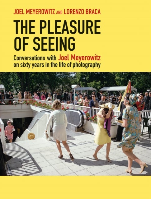 The Pleasure of Seeing - Conversations on Joel Meyerowitz's sixty years in the life of photography