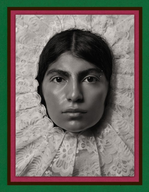 Pieter Henket: Birds of Mexico City