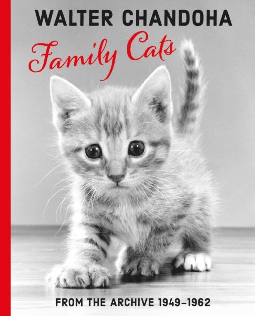 Walter Chandoha: Family Cats From the Archive 1949-1962