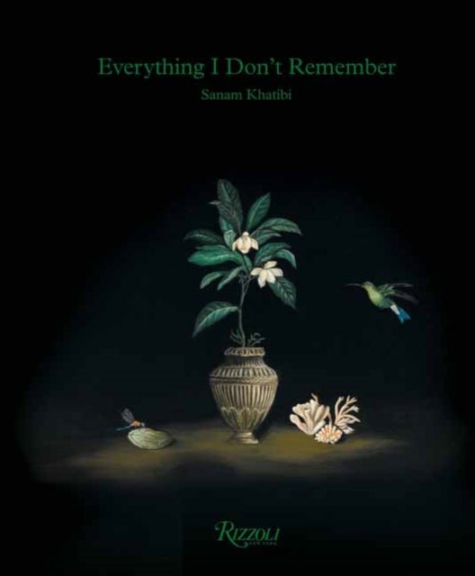 Sanam Khatibi - Everything I Don't Remember