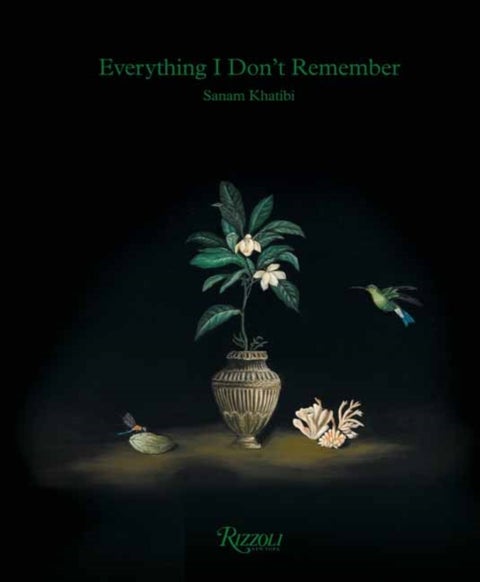 Sanam Khatibi - Everything I Don't Remember