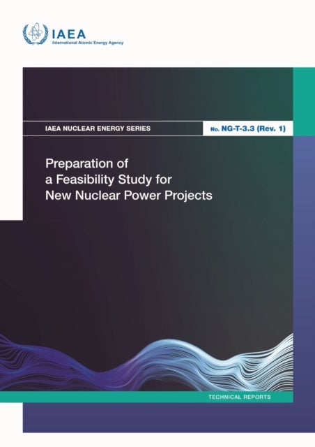 Preparation of a Feasibility Study for New Nuclear Power Projects