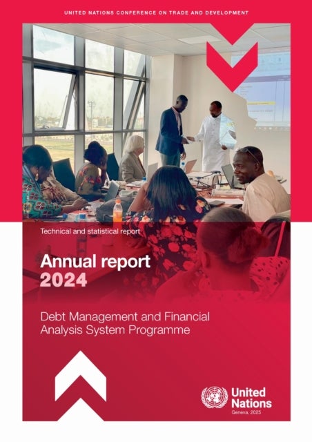 Debt Management and Financial Analysis System Programme Annual Report 2024